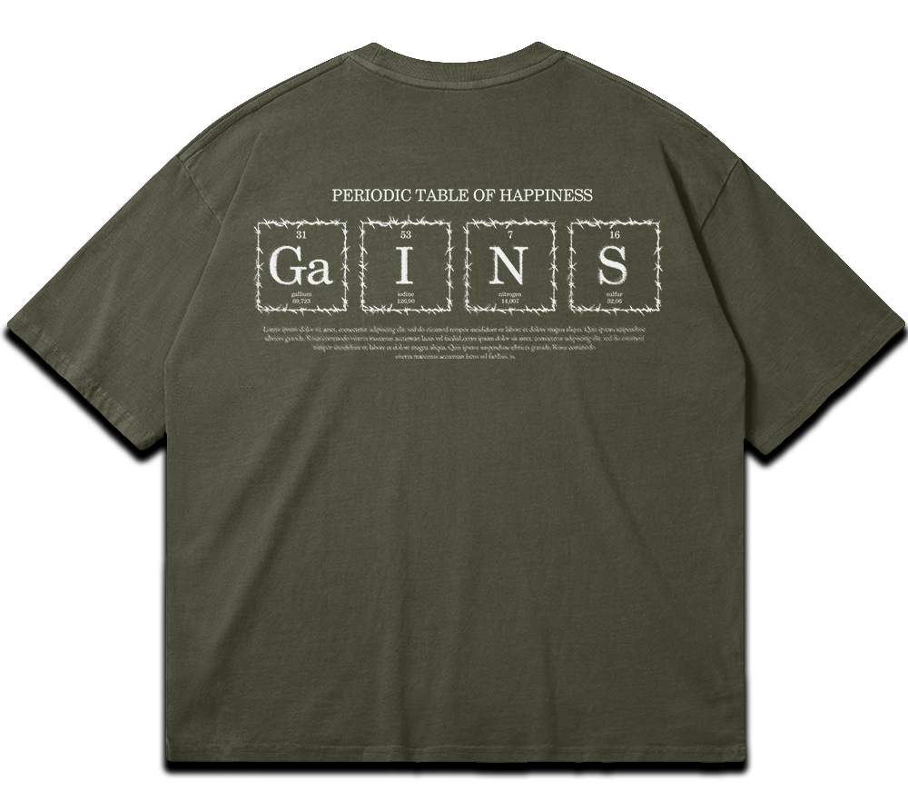 Washed gym T-shirt "GAINS" – BIGGYMBRO