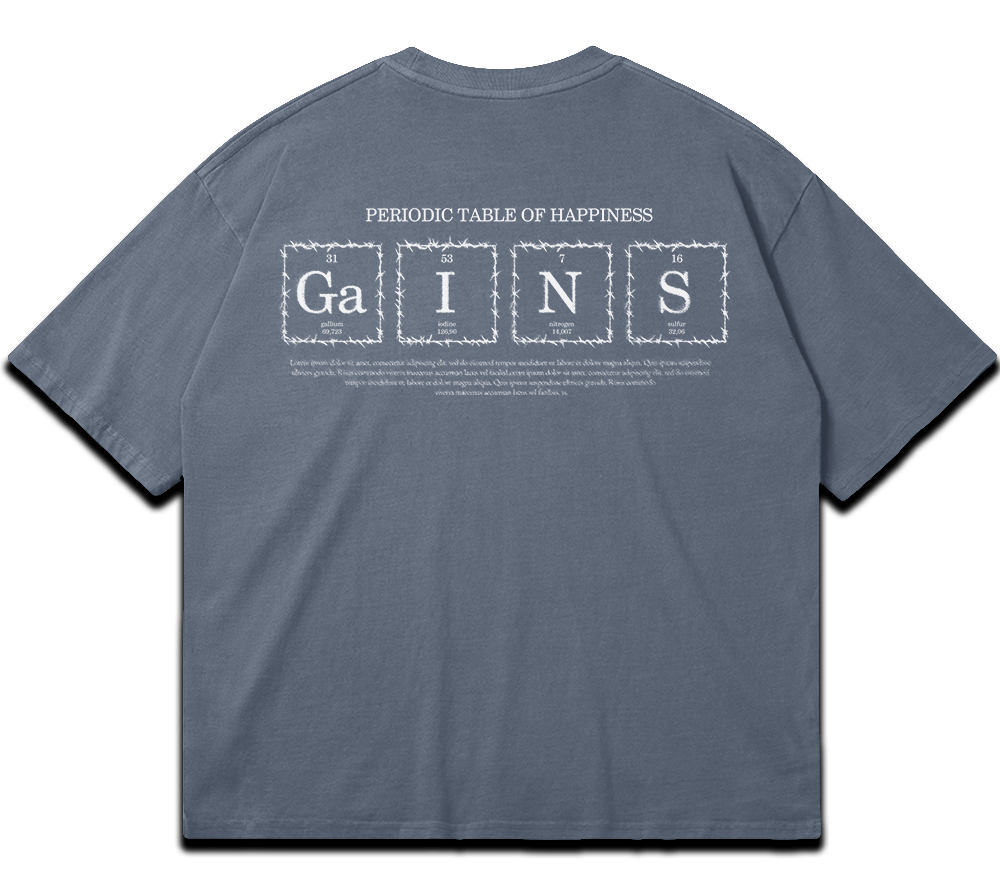 Washed gym T-shirt "GAINS" – BIGGYMBRO