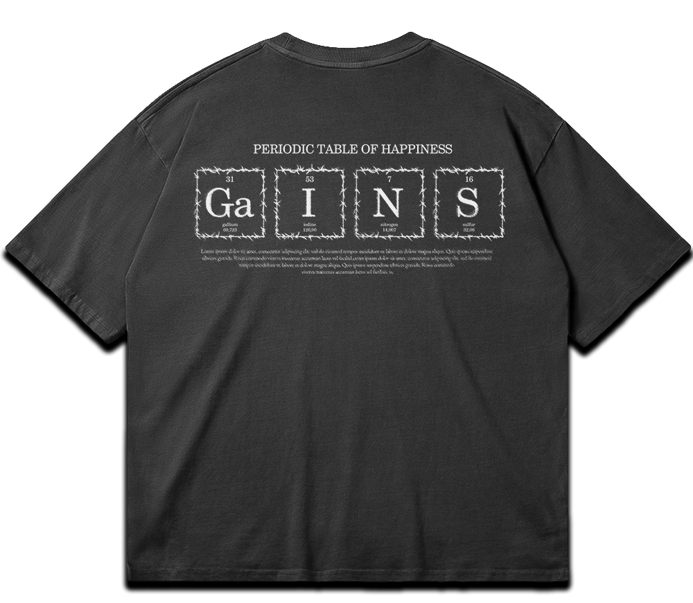 Washed gym T-shirt "GAINS" – BIGGYMBRO